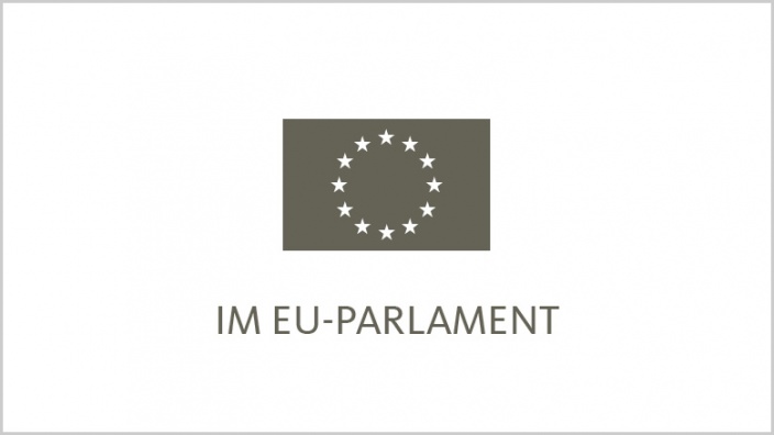 Im EU Parlament